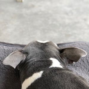 Meet your Posher, Devyn